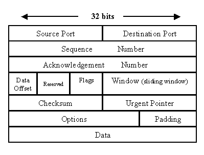 Dissecting Packets On The Byte Level